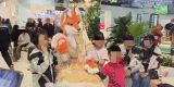 f3f3c1cd644d827dde620db90e8e77c_副本