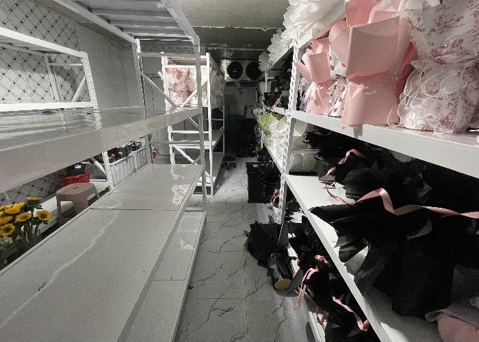 66d35ba340bab6d2fd944ee0b910846b