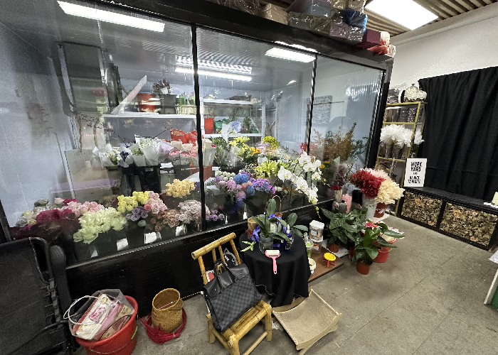 a619b99226130130b0284534c749c278