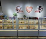 16873523ff63746995bcd52c0cd0ef2d